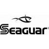Seaguar-AW