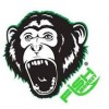 Fish Monkey